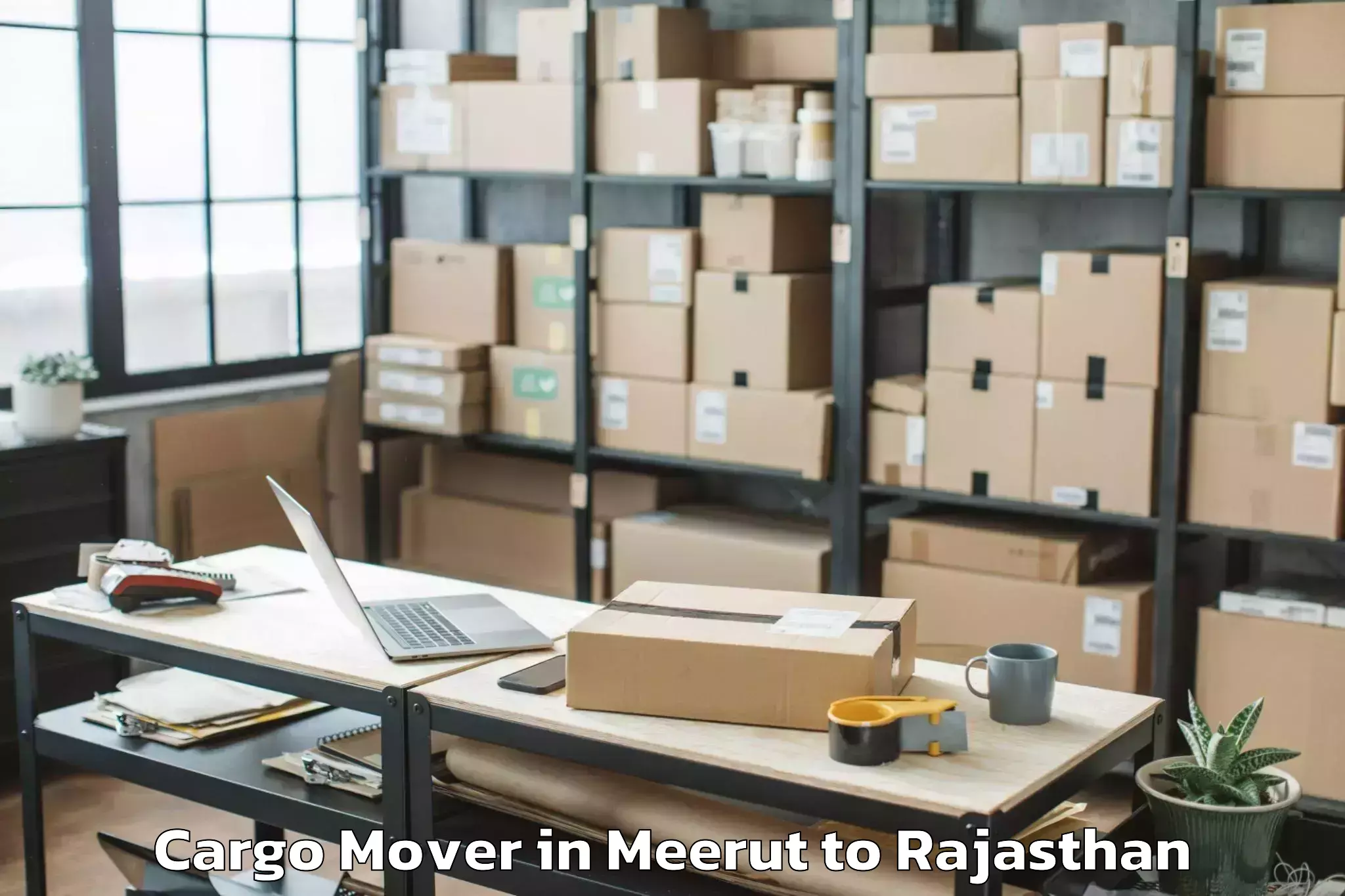 Reliable Meerut to Jk Lakshmipat University Jaipu Cargo Mover